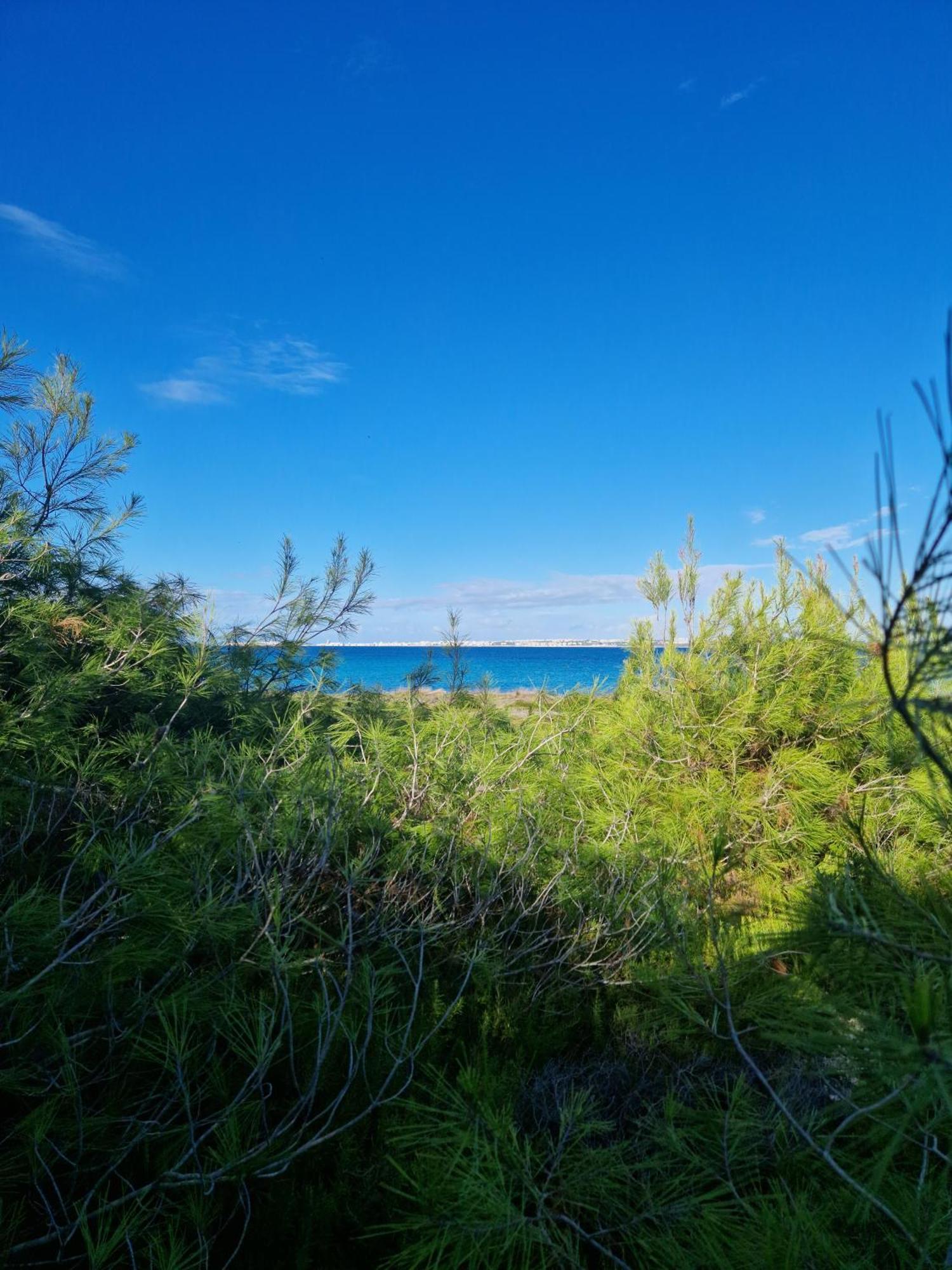 Villa Maria In Puglia Con Pineta Vicino Al Mare Torre Suda Bagian luar foto