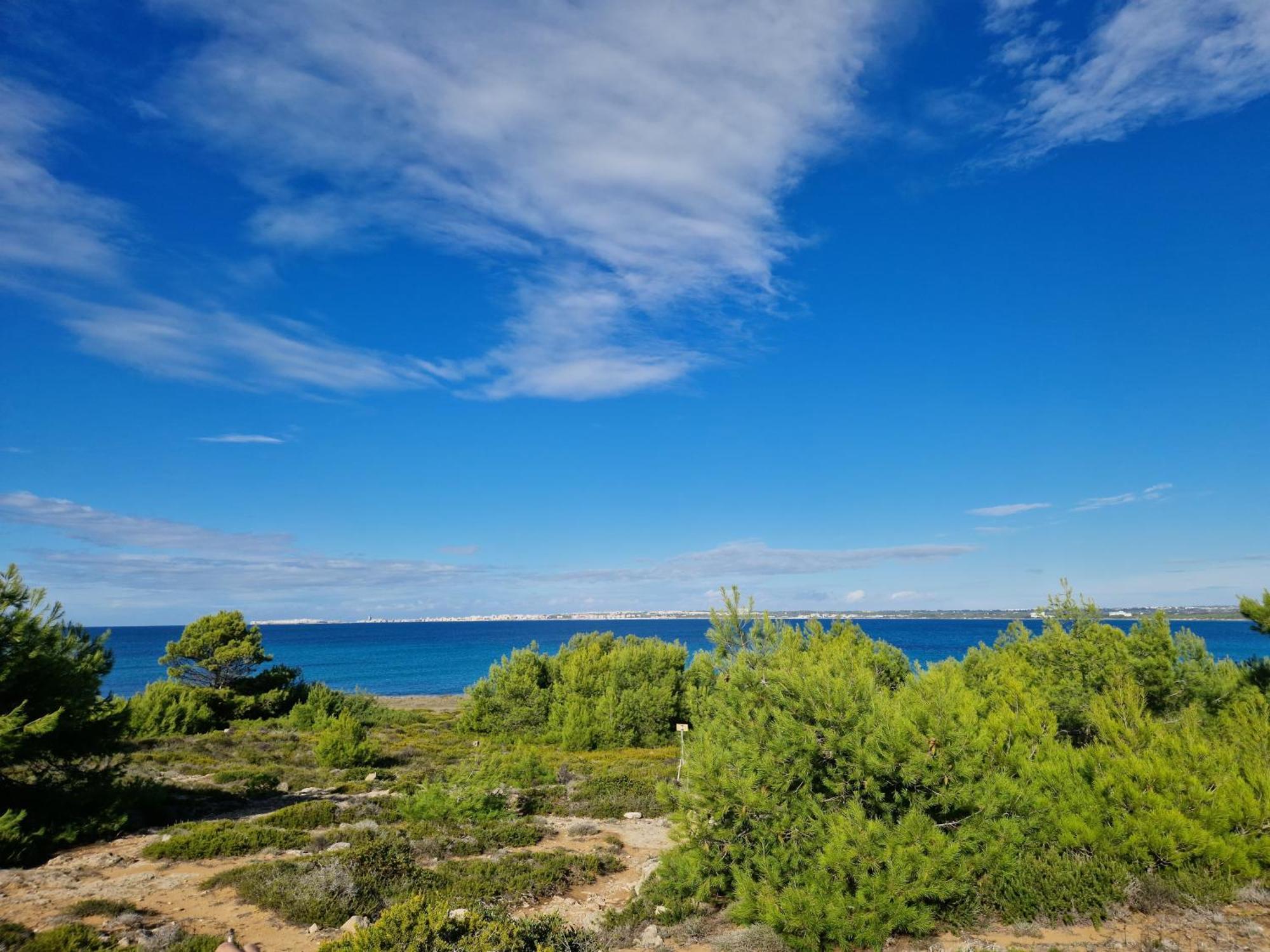 Villa Maria In Puglia Con Pineta Vicino Al Mare Torre Suda Bagian luar foto