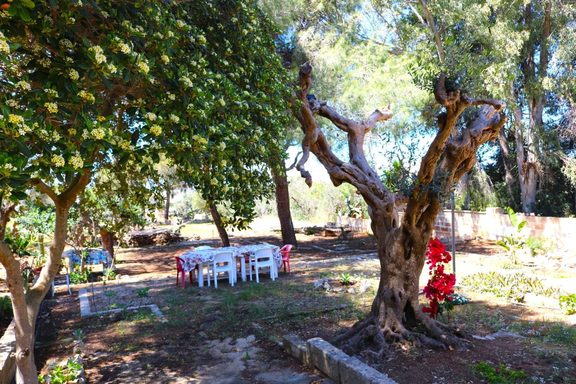Villa Maria In Puglia Con Pineta Vicino Al Mare Torre Suda Bagian luar foto